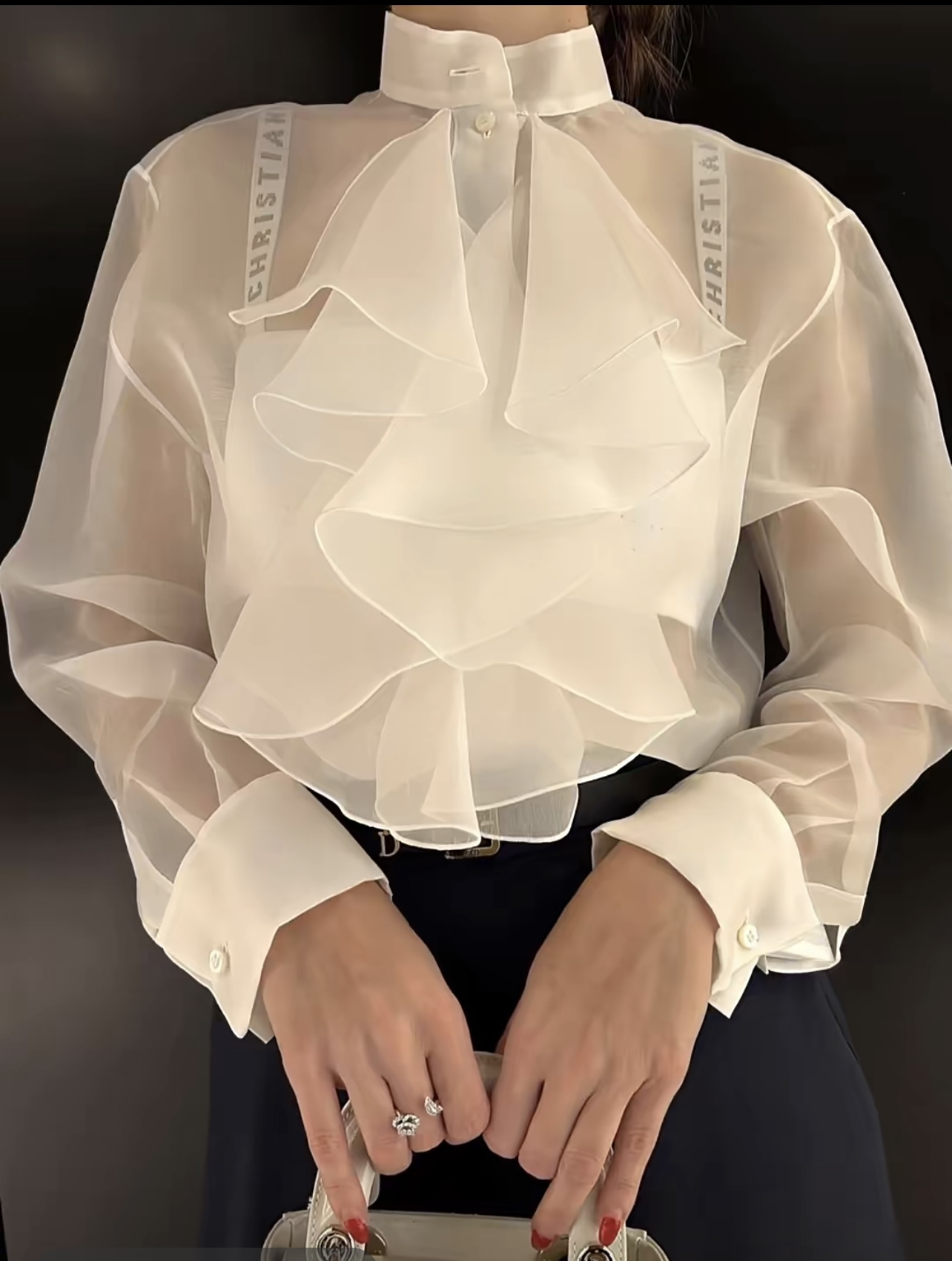 D 26New Silk Organza Sheer Blouse BNL01606