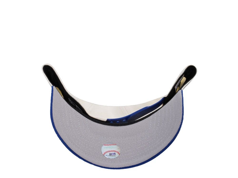 NEW ERA LOS ANGELES DODGERS CHROME TWO TONE EDITION 9FORTY A FRAME SNAPBACK HAT