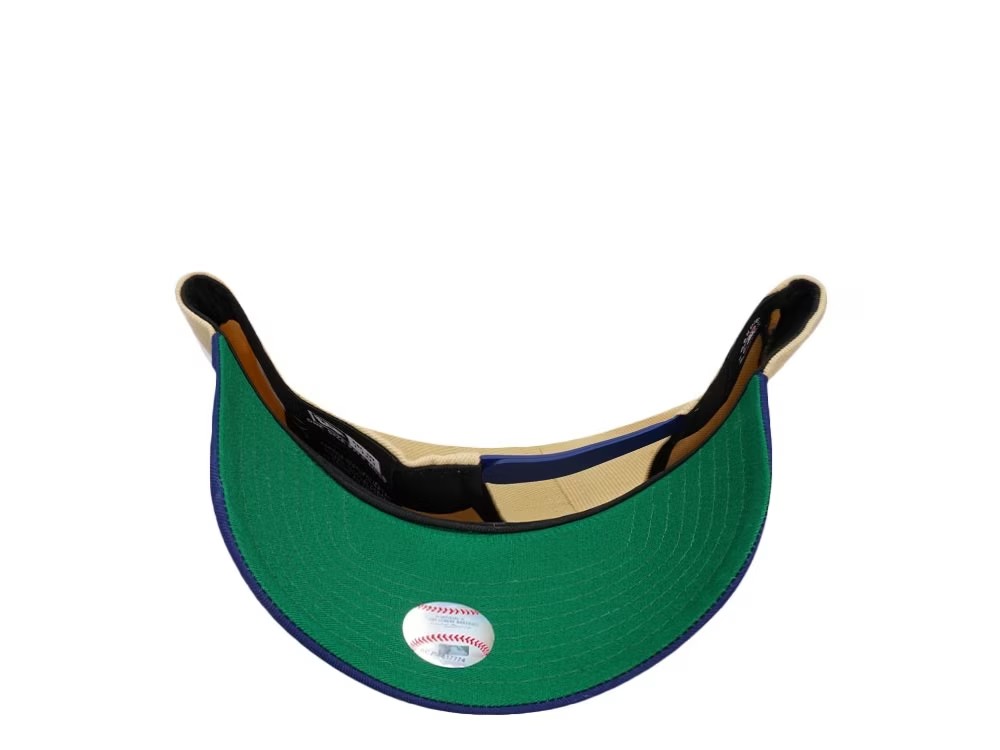 NEW ERA BROOKLYN DODGERS JACKIE ROBINSON 75 YEARS THROWBACK EDITION 9FORTY A FRAME SNAPBACK HAT