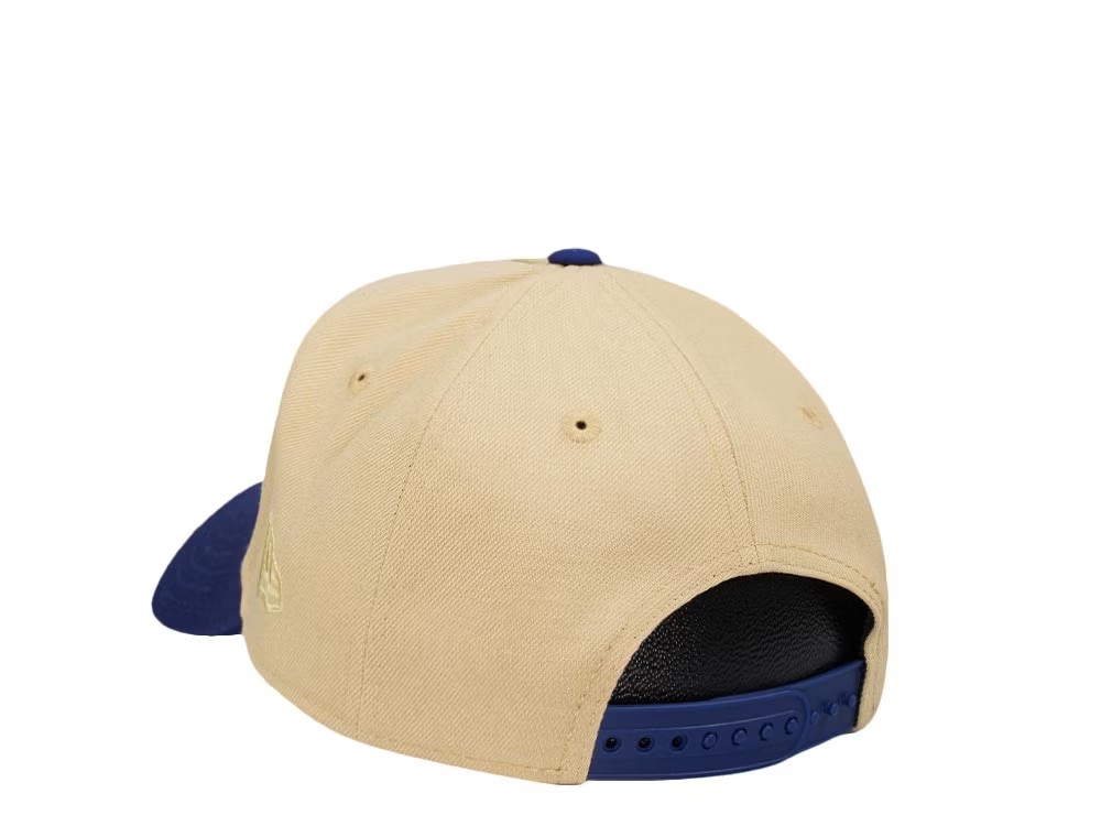 NEW ERA BROOKLYN DODGERS JACKIE ROBINSON 75 YEARS THROWBACK EDITION 9FORTY A FRAME SNAPBACK HAT