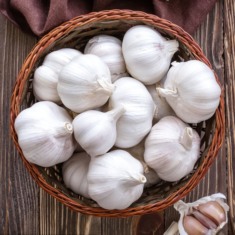 Garlic Bulb (6 Pack),Fresh Garlic Bulb for Planting and Growing Your OWN Garlic OR Eating,Non GMO