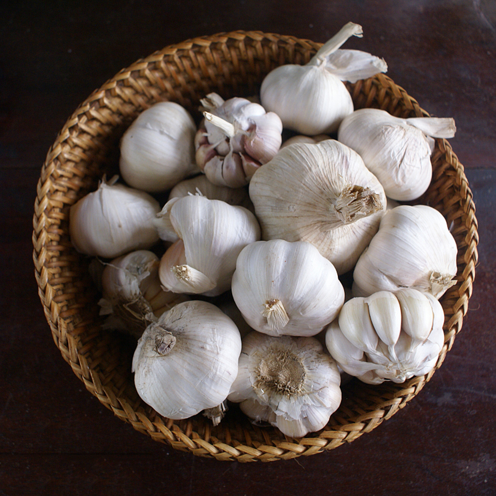 Garlic Bulb (6 Pack),Fresh Garlic Bulb for Planting and Growing Your OWN Garlic OR Eating,Non GMO