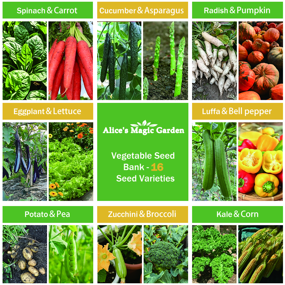 16 Gourmet Garden Vegetable Seeds Variety Pack - Non-GMO Heirloom Vegetables Seeds for Planting Indoor Outdoor