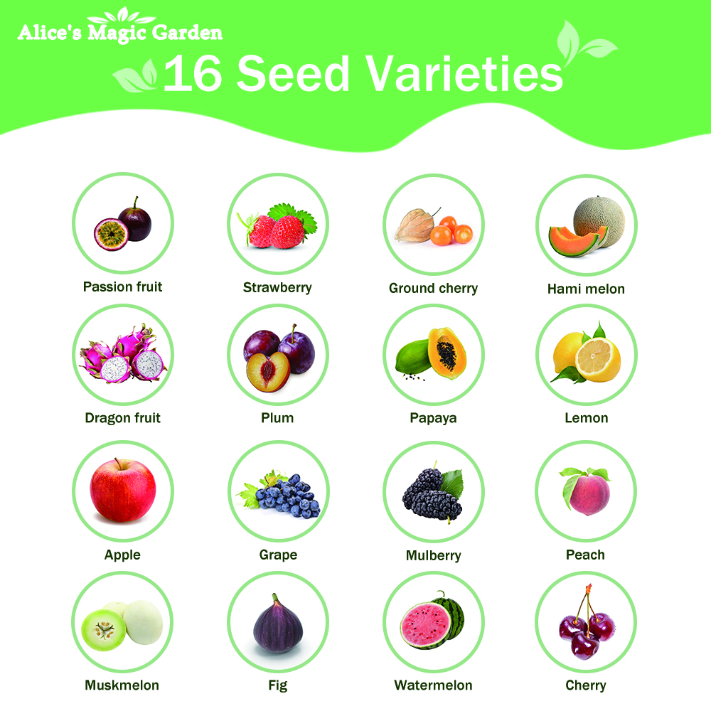 16-Variety Mixed Fruit Seed Collection for Outdoor Planting-Non-GMO Heirloom Fruit Seeds in Individual Packets