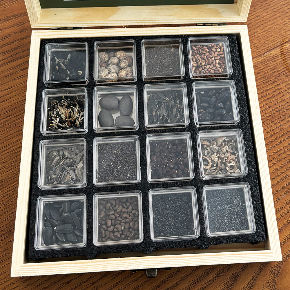 Garden seed bank-16 Varieties of Herb, Flower & Vegetable Seeds for Planting-Plant seeds for outdoor