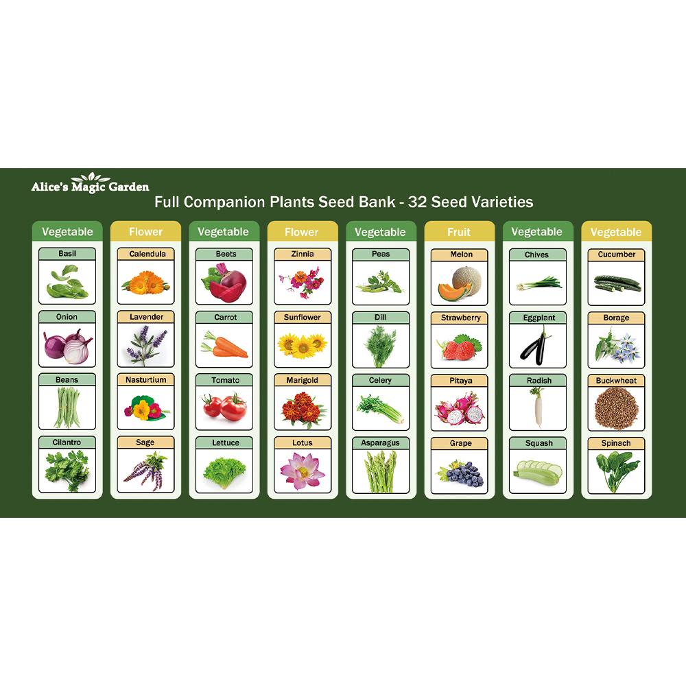 32 seed bank,seeds for planting vegetables and fruits,flowers,herbs,gardening gifts for women