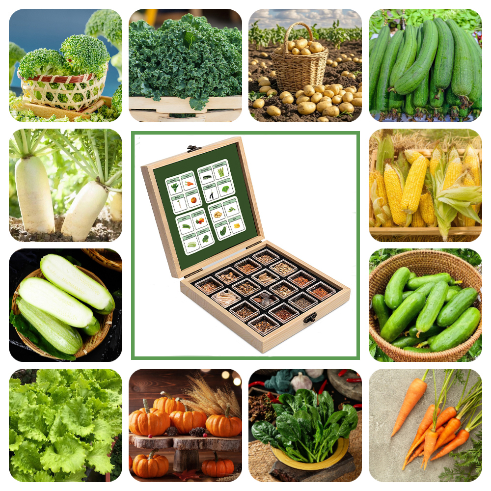 16 Gourmet Garden Vegetable Seeds Variety Pack - Non-GMO Heirloom Vegetables Seeds for Planting Indoor Outdoor