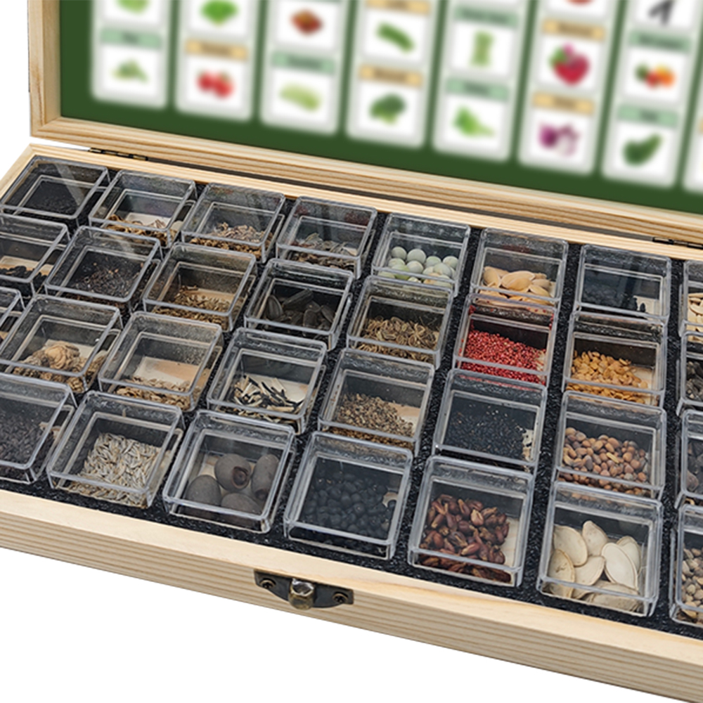32 Heirloom Vegetable Seeds for Planting - Non-GMO Survival Seed Vault | High Germination