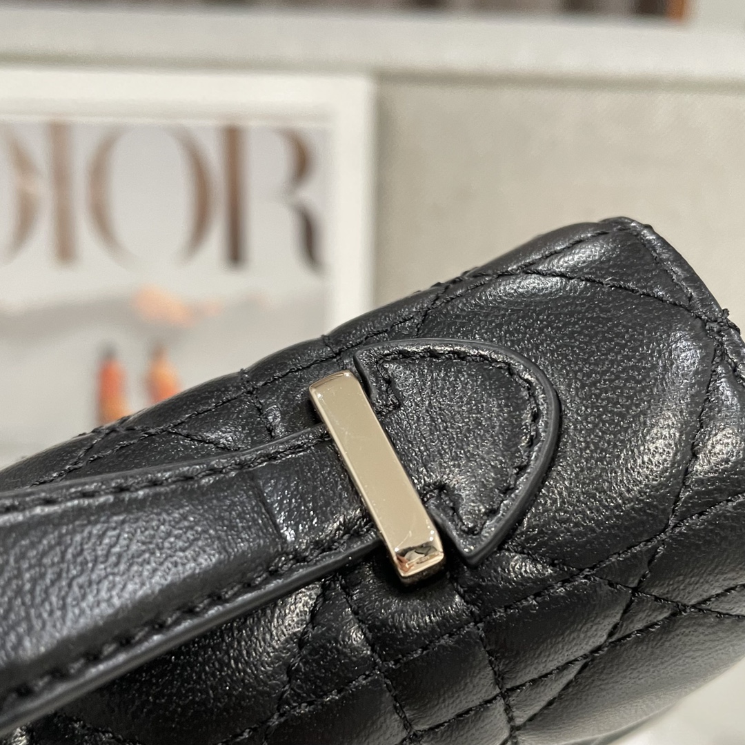 Túi Xách Nữ Dior WOC Màu Đen