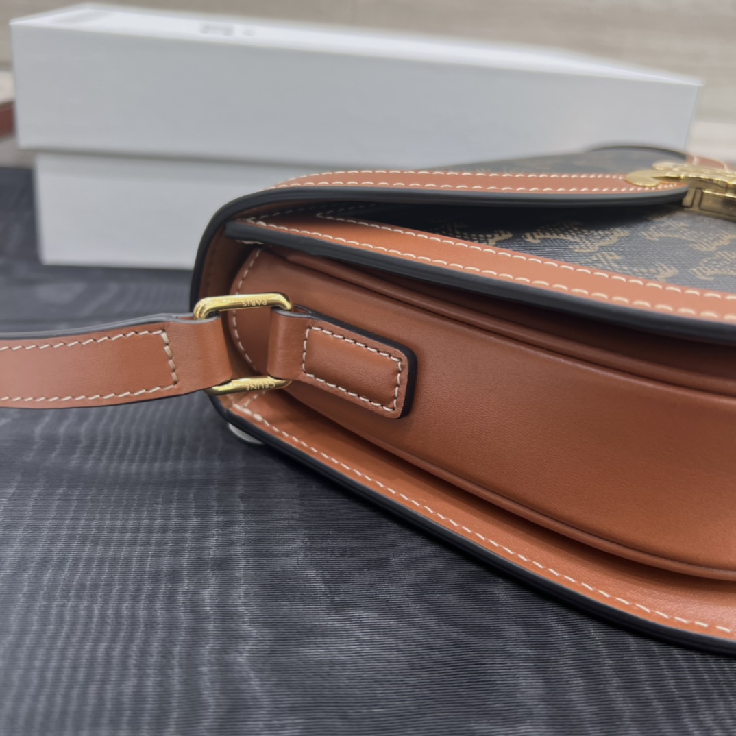 T&uacute;i X&aacute;ch Celine Teen Besace Triomphe 110413 Canvas 