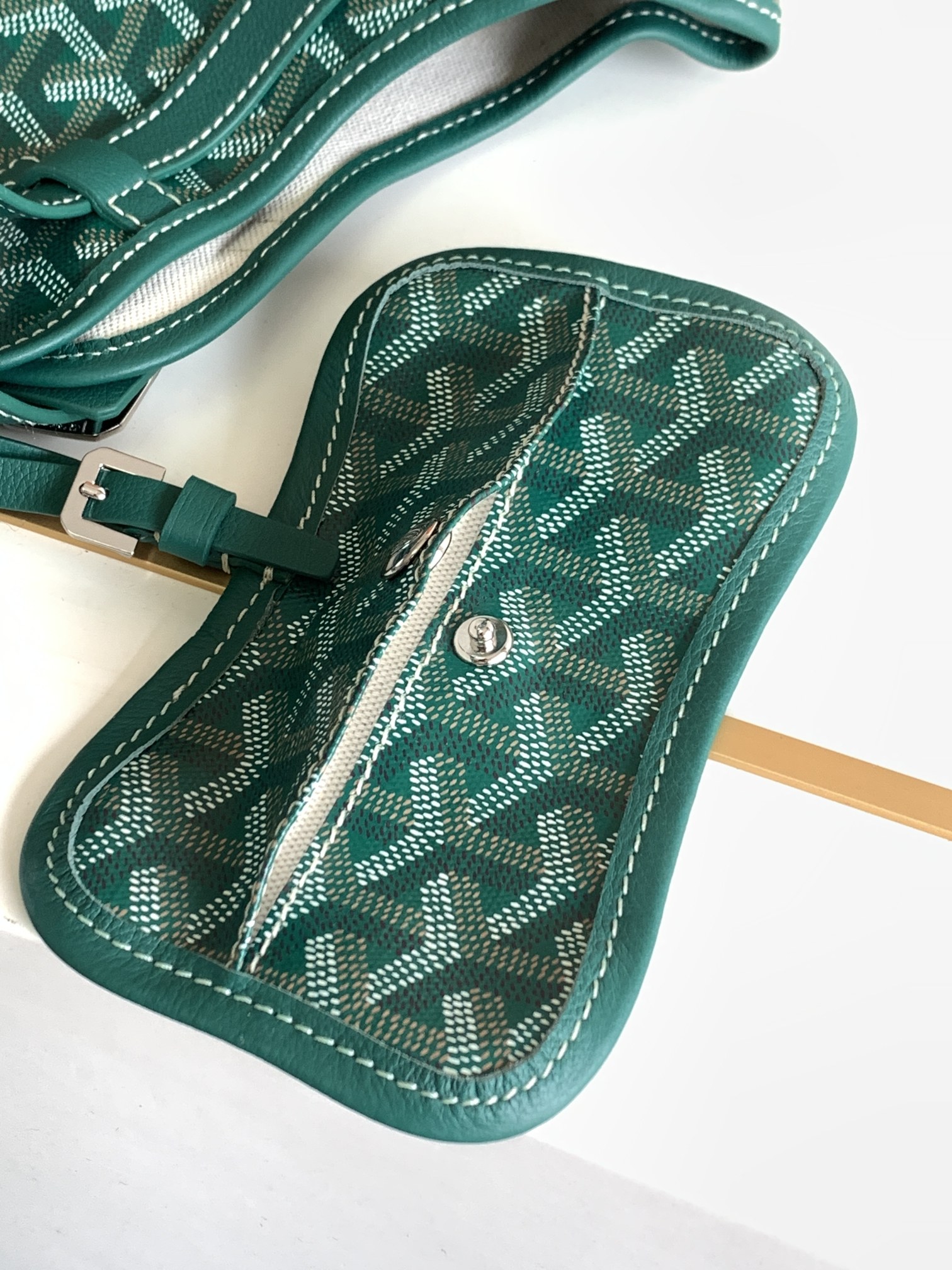 Goyars Chien Gris (green)