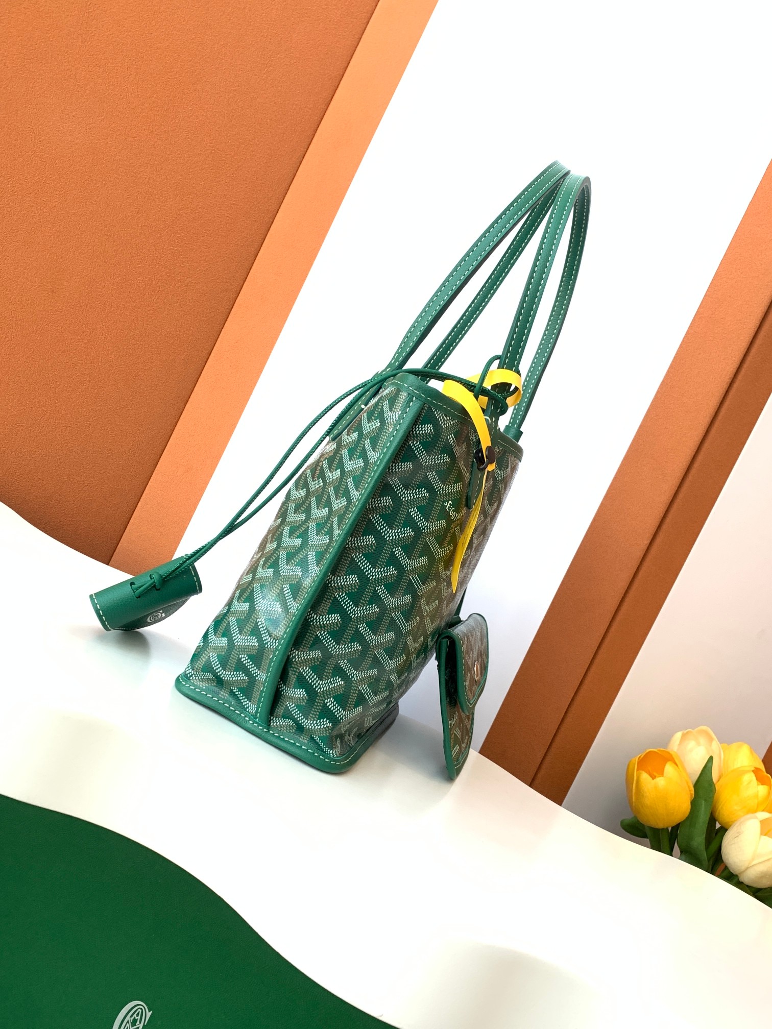 Goyard MINI  Anjor 8003 (green)