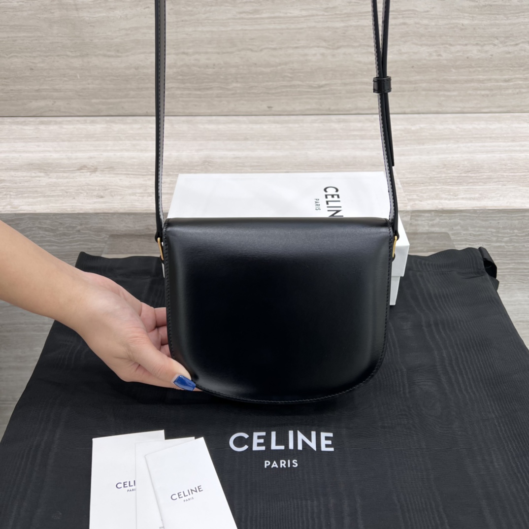 Túi Xách Celine Teen Besace Triomphe 110413 Màu Đen