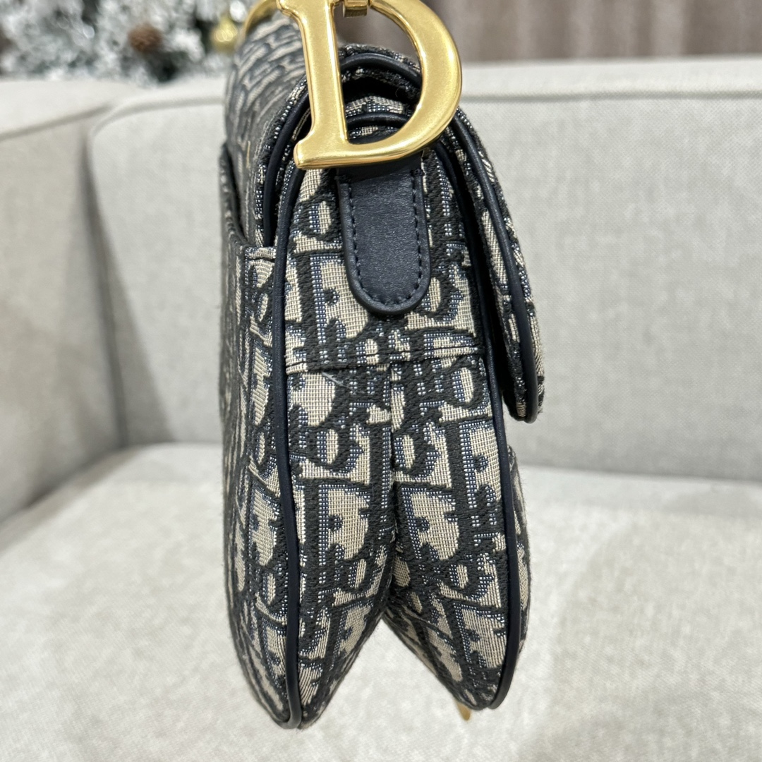 T&uacute;i Dior Sadle Nữ Vải Logo 