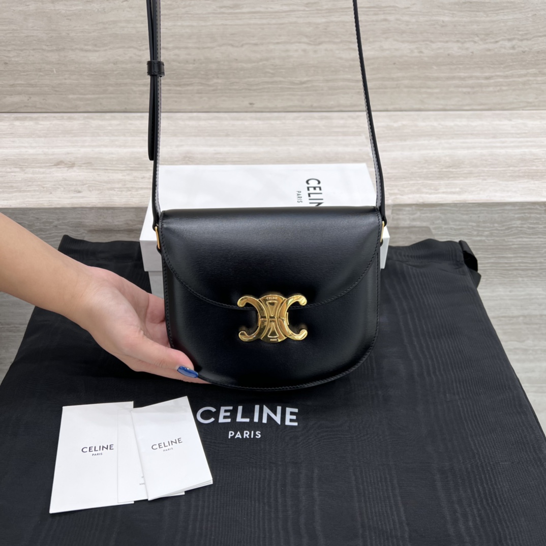 Túi Xách Celine Teen Besace Triomphe 110413 Màu Đen