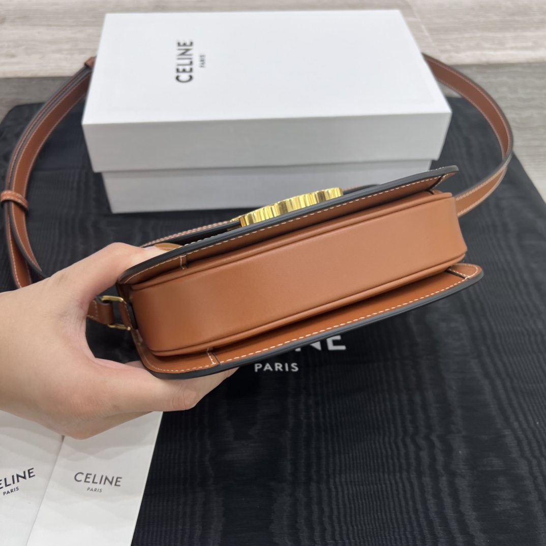 T&uacute;i X&aacute;ch Celine Teen Besace Triomphe 110413 Canvas 