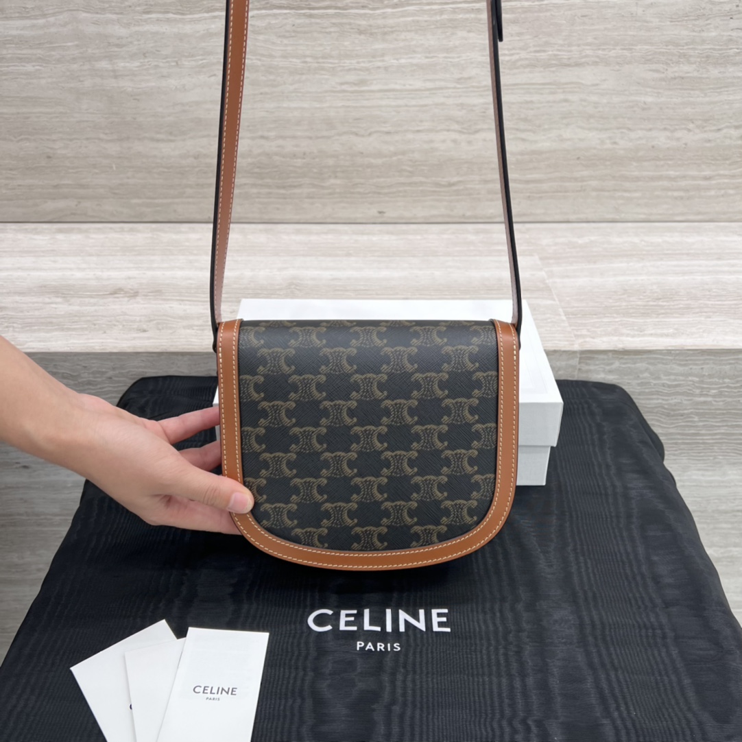 Túi Xách Celine Teen Besace Triomphe 110413 Canvas
