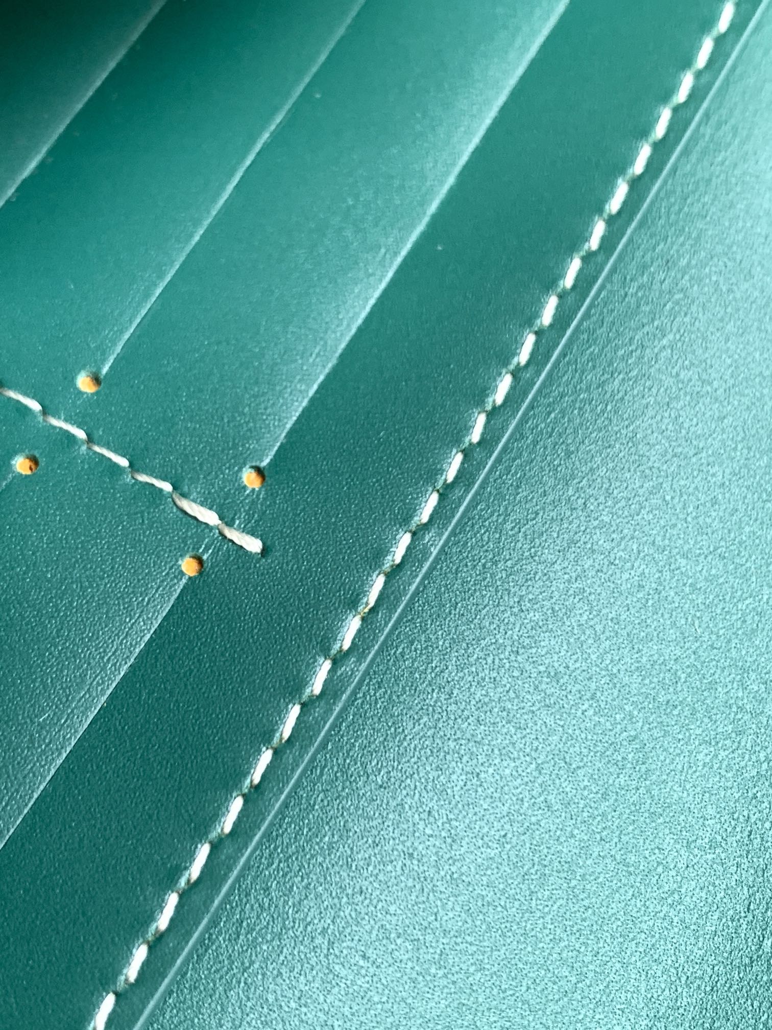 Goyard Varenne M8118 (green)