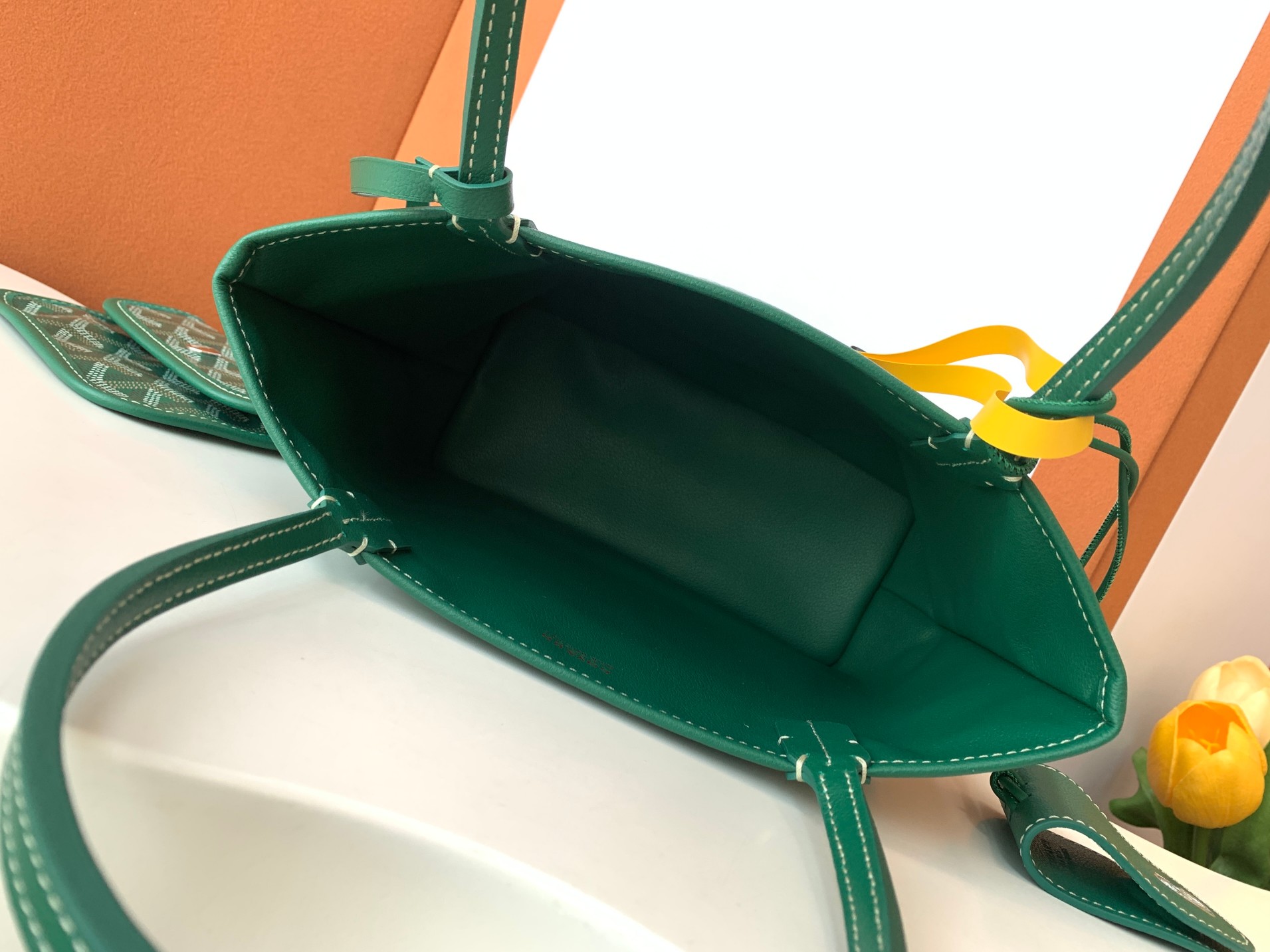 Goyard MINI  Anjor 8003 (green)