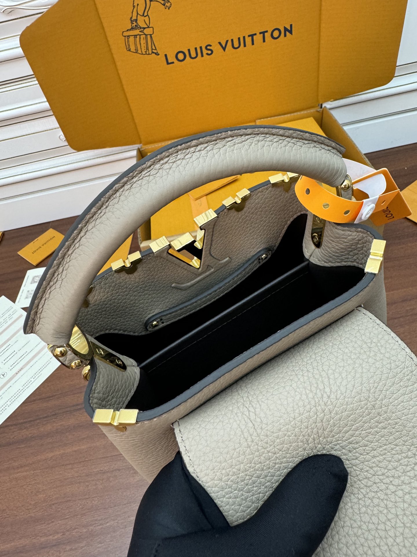 Sac Capucines Mini m24567