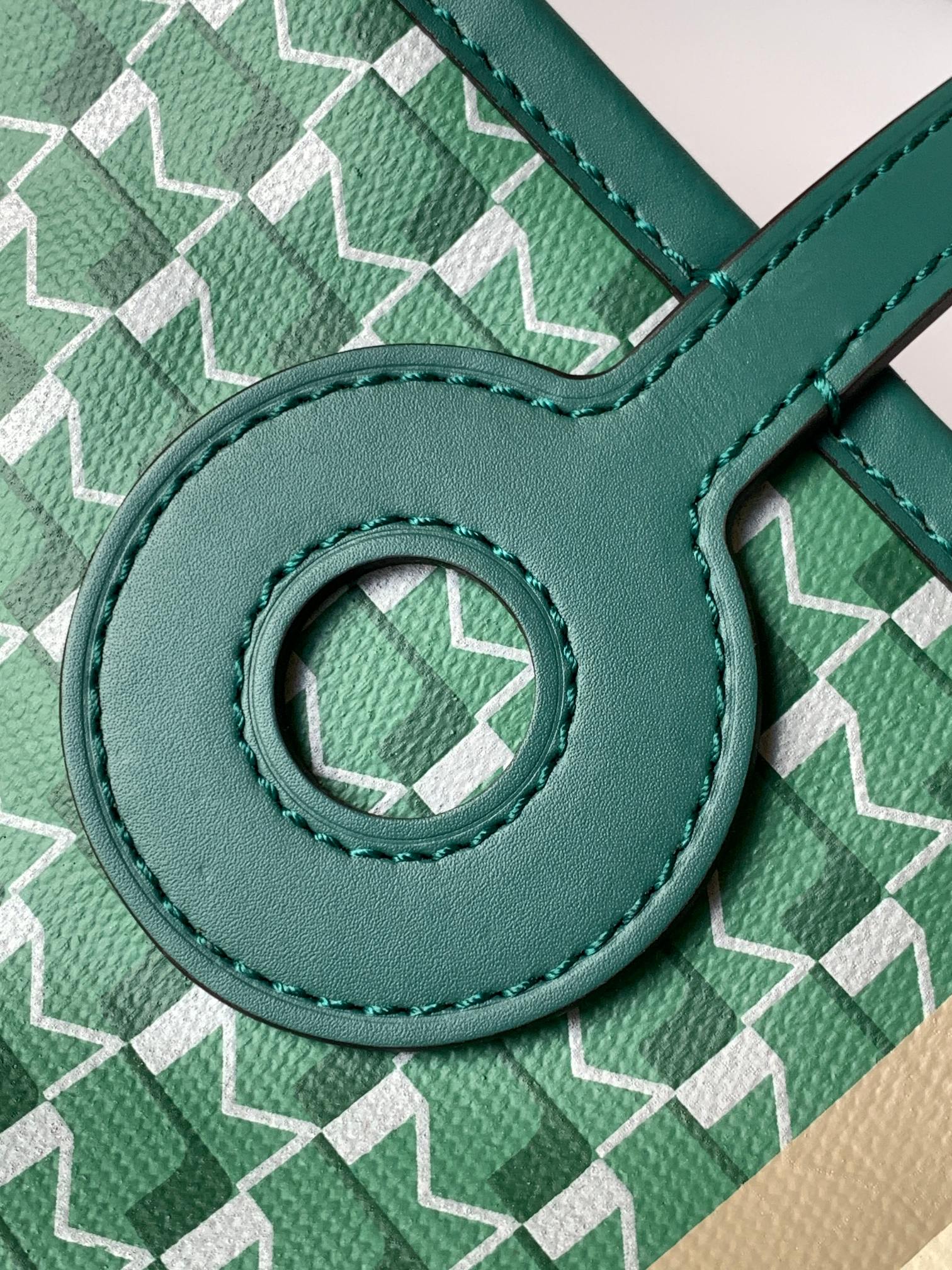 goyard  MOYNAT Canvas 1920 (green)