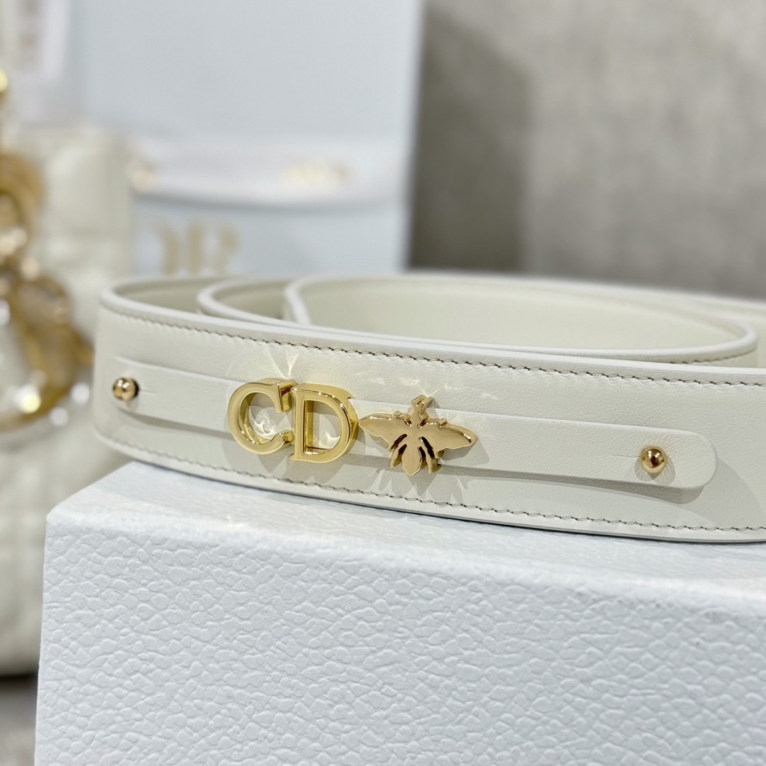 Túi Xách tay Lady Dior Nữ Màu Trắng