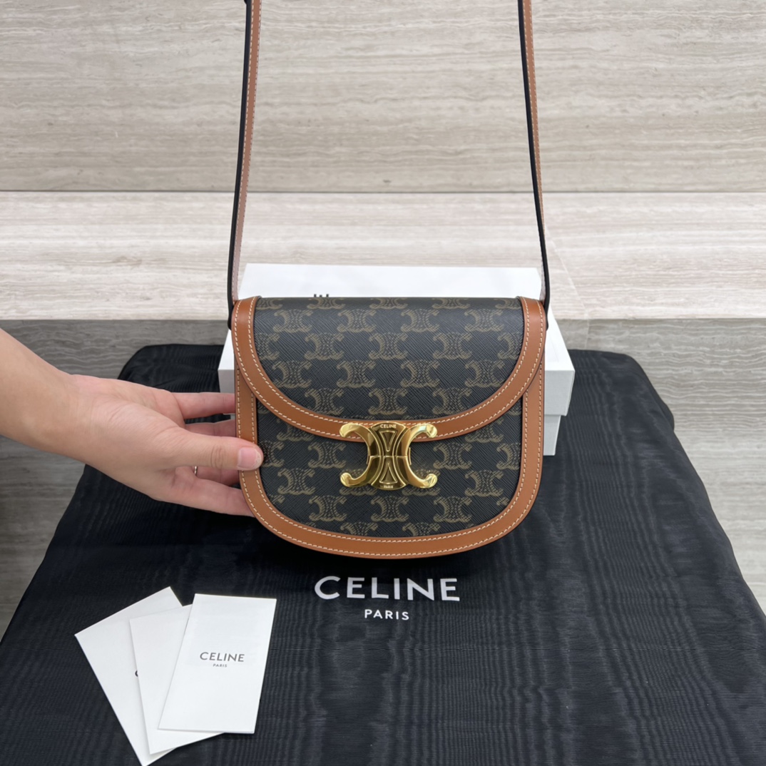 Túi Xách Celine Teen Besace Triomphe 110413 Canvas
