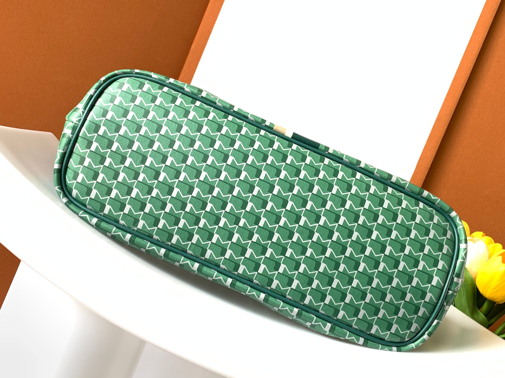 goyard  MOYNAT Canvas 1920 (green)