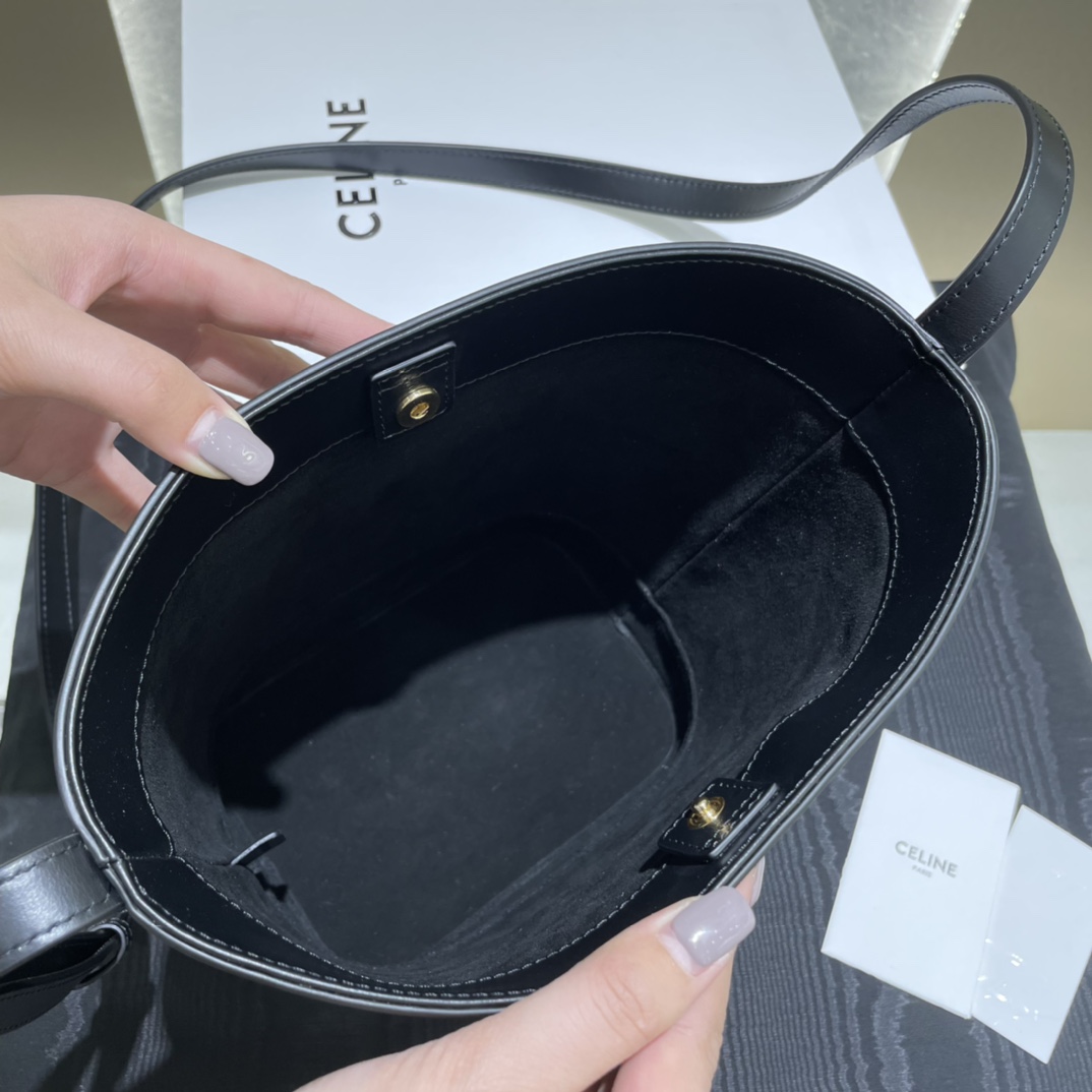 Túi Xách Nữ Cuir Triomphe 198243 Màu Đen