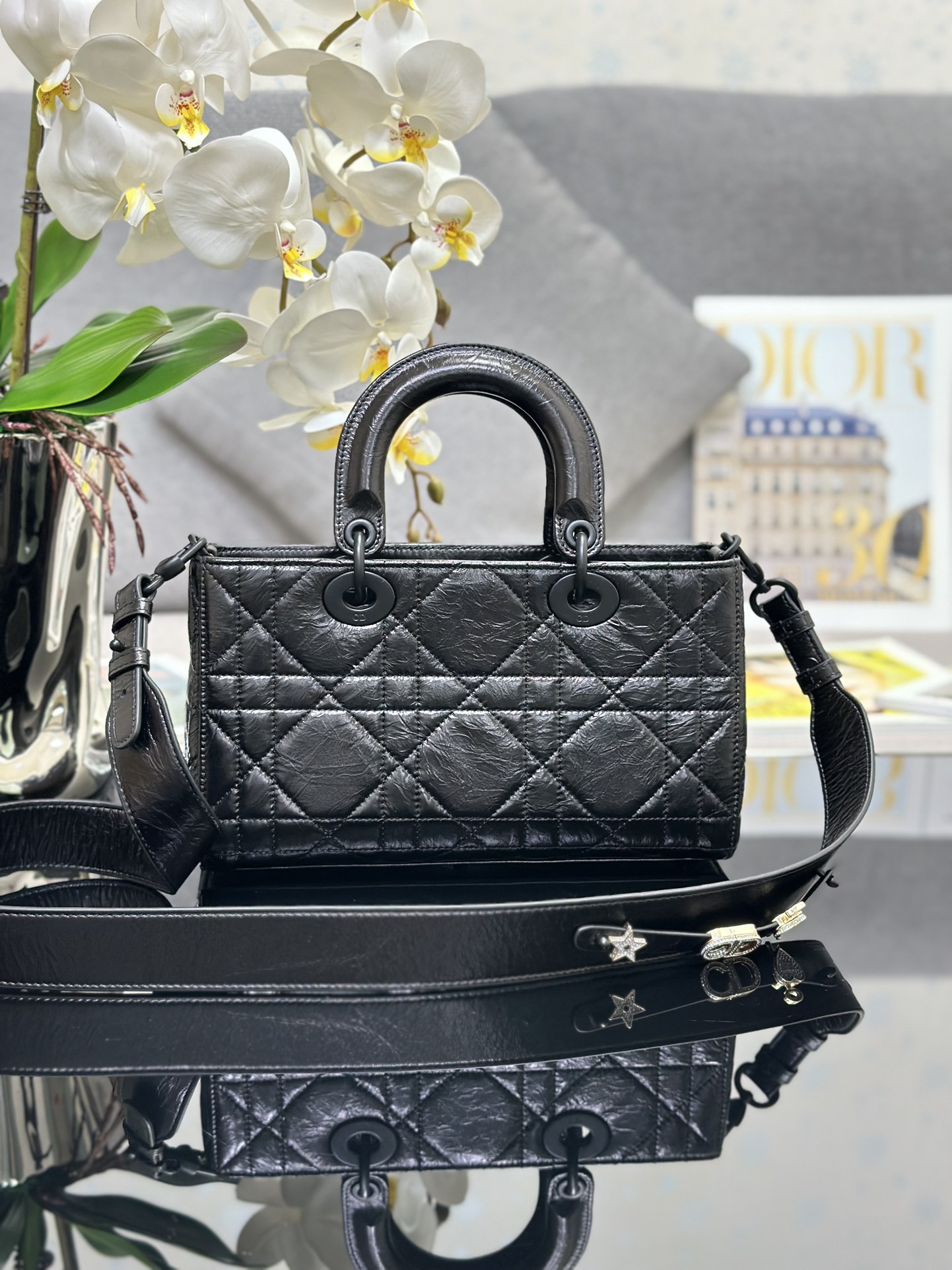 Túi Dior D-Sire Màu Đen