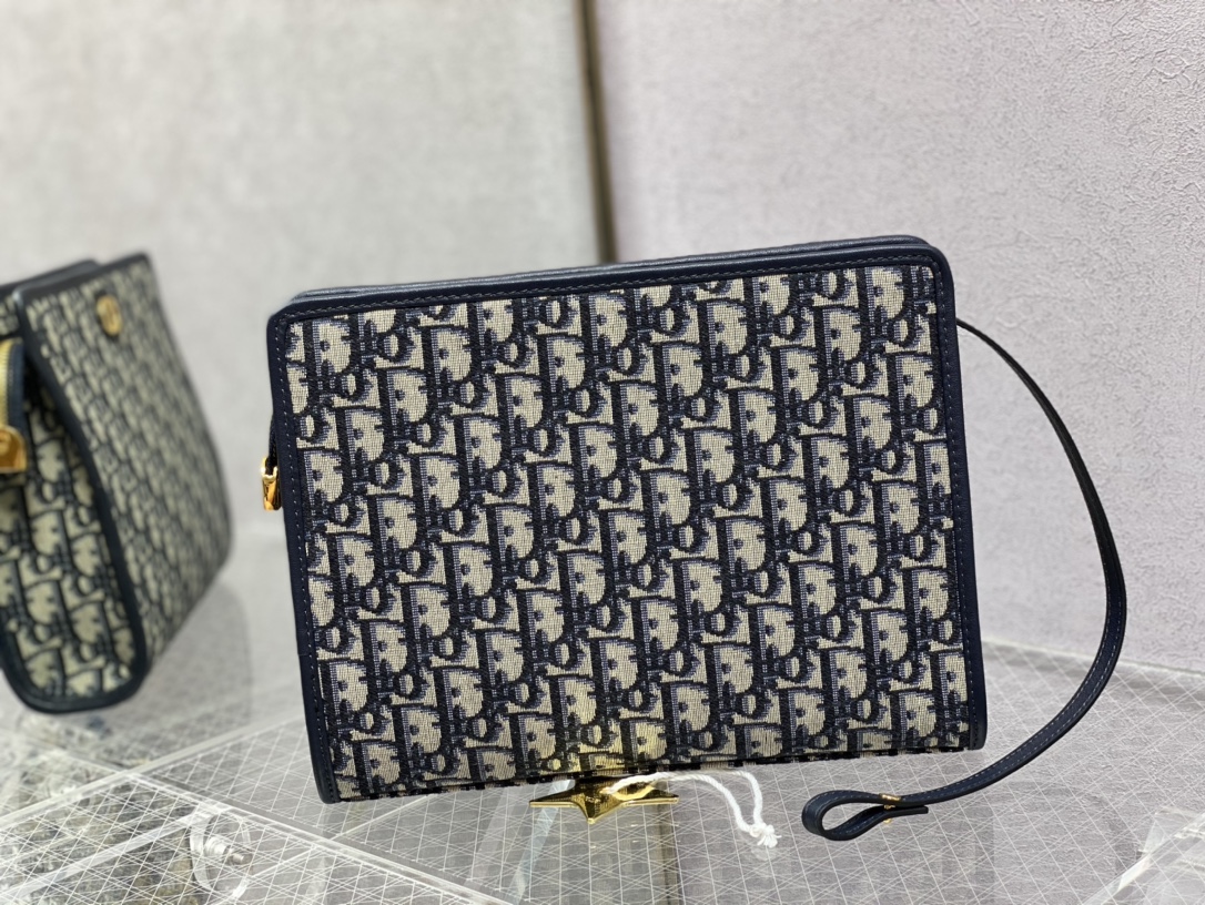 Dior Cầm Tay Oblique
