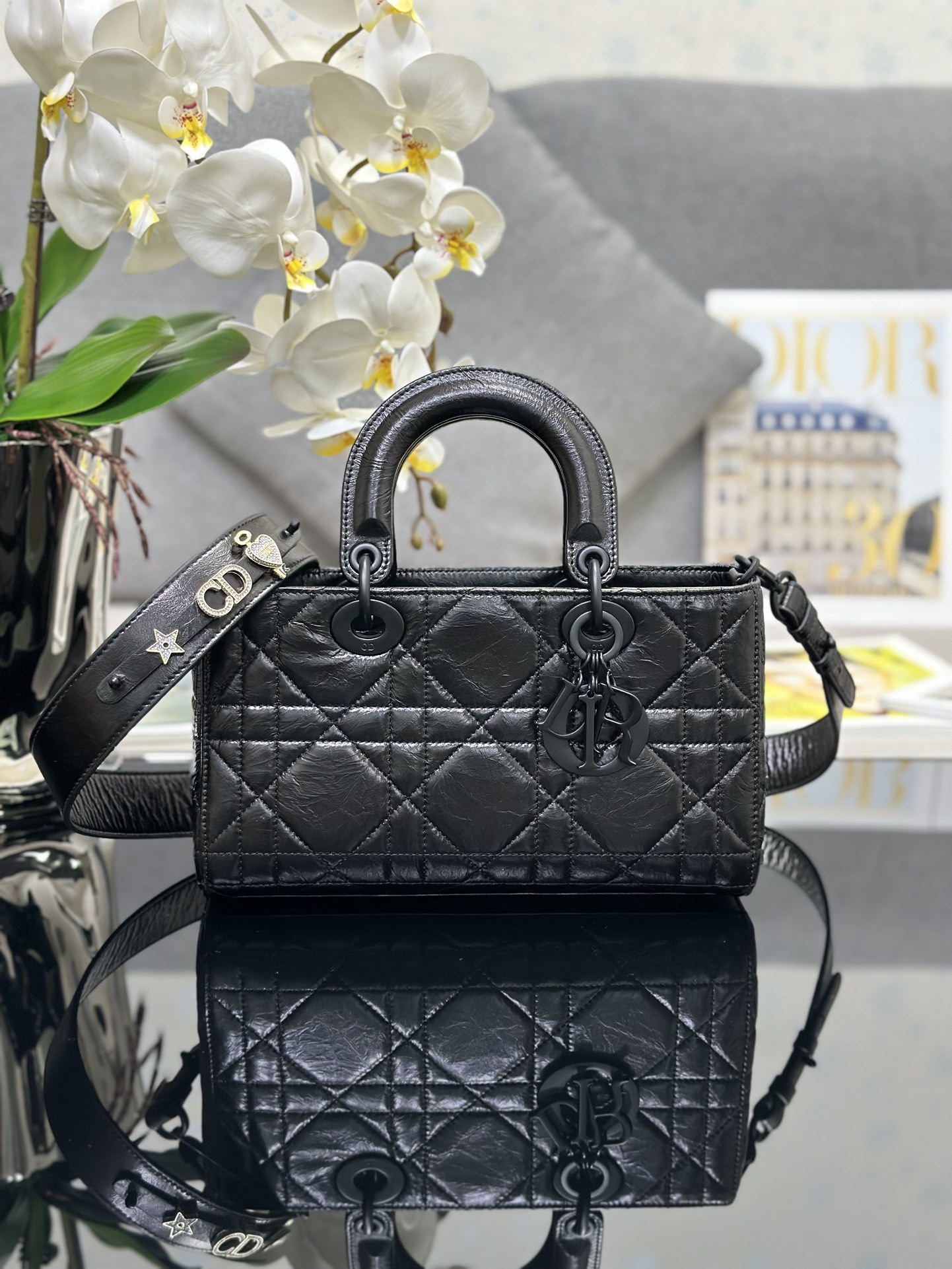 Túi Dior D-Sire Màu Đen