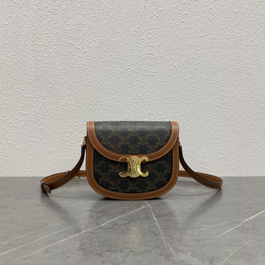 Túi Xách Celine Teen Besace Triomphe 110413 Canvas