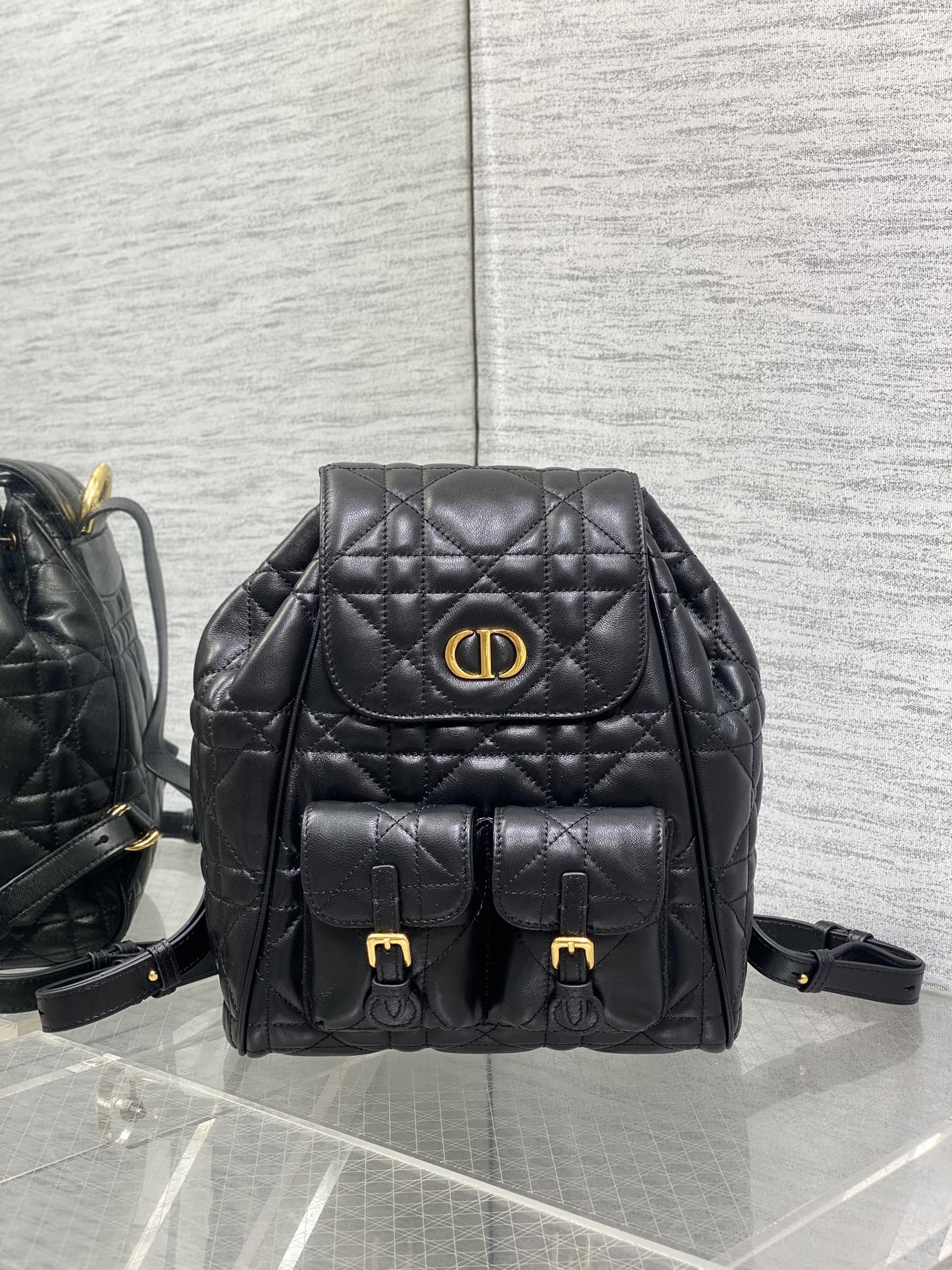 Balo Da Dior Caro 23