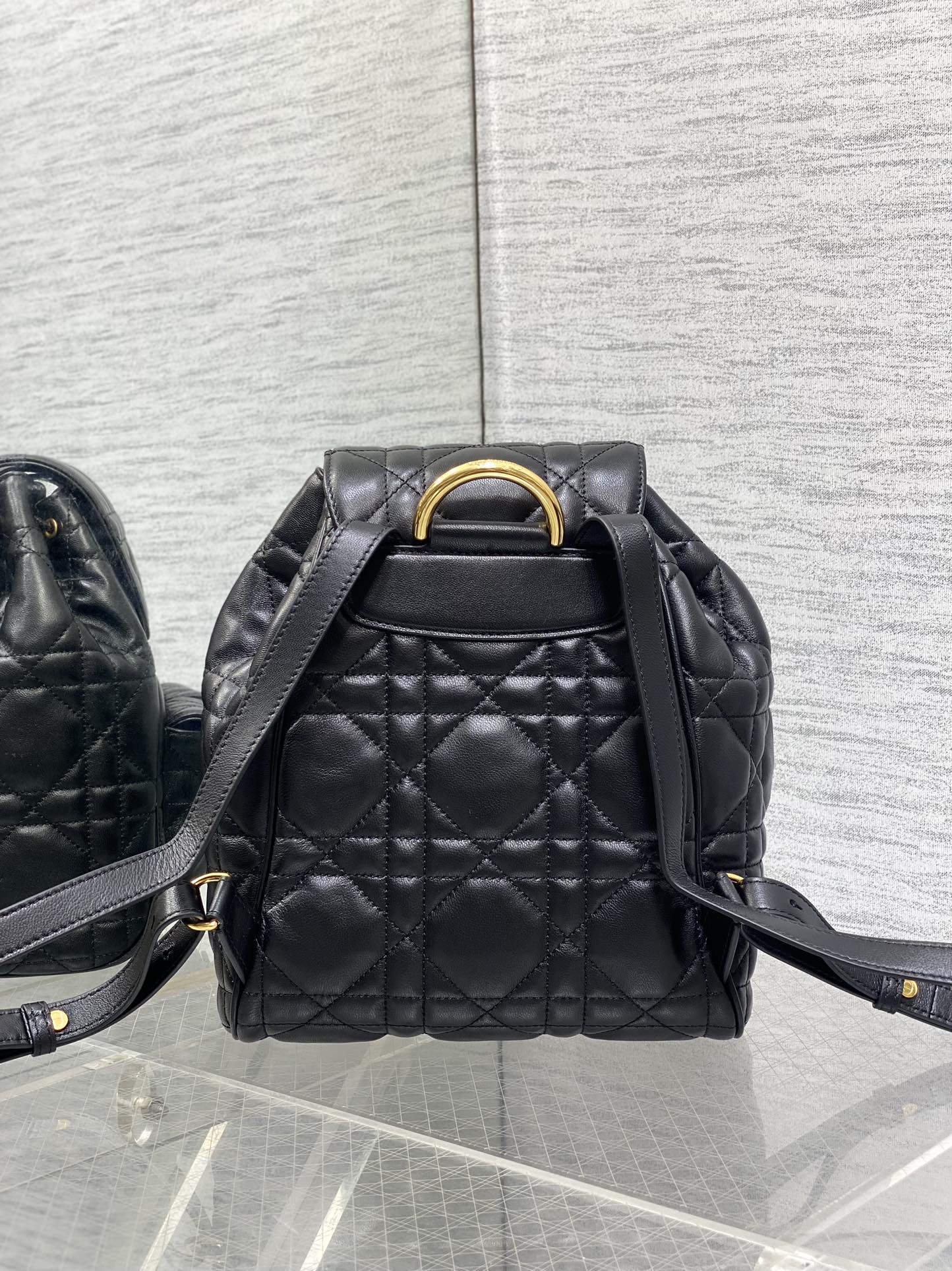Balo Da Dior Caro 23