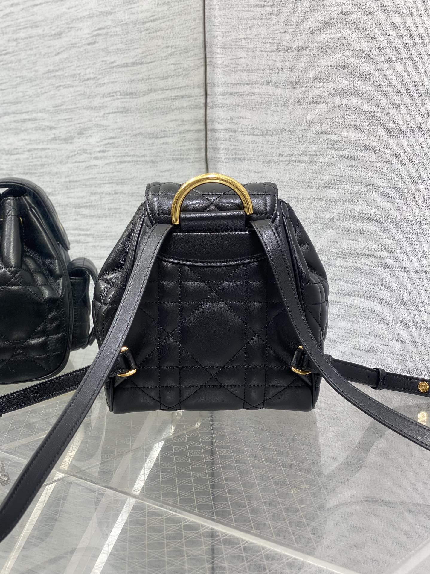 Balo Da Dior Caro 19.5