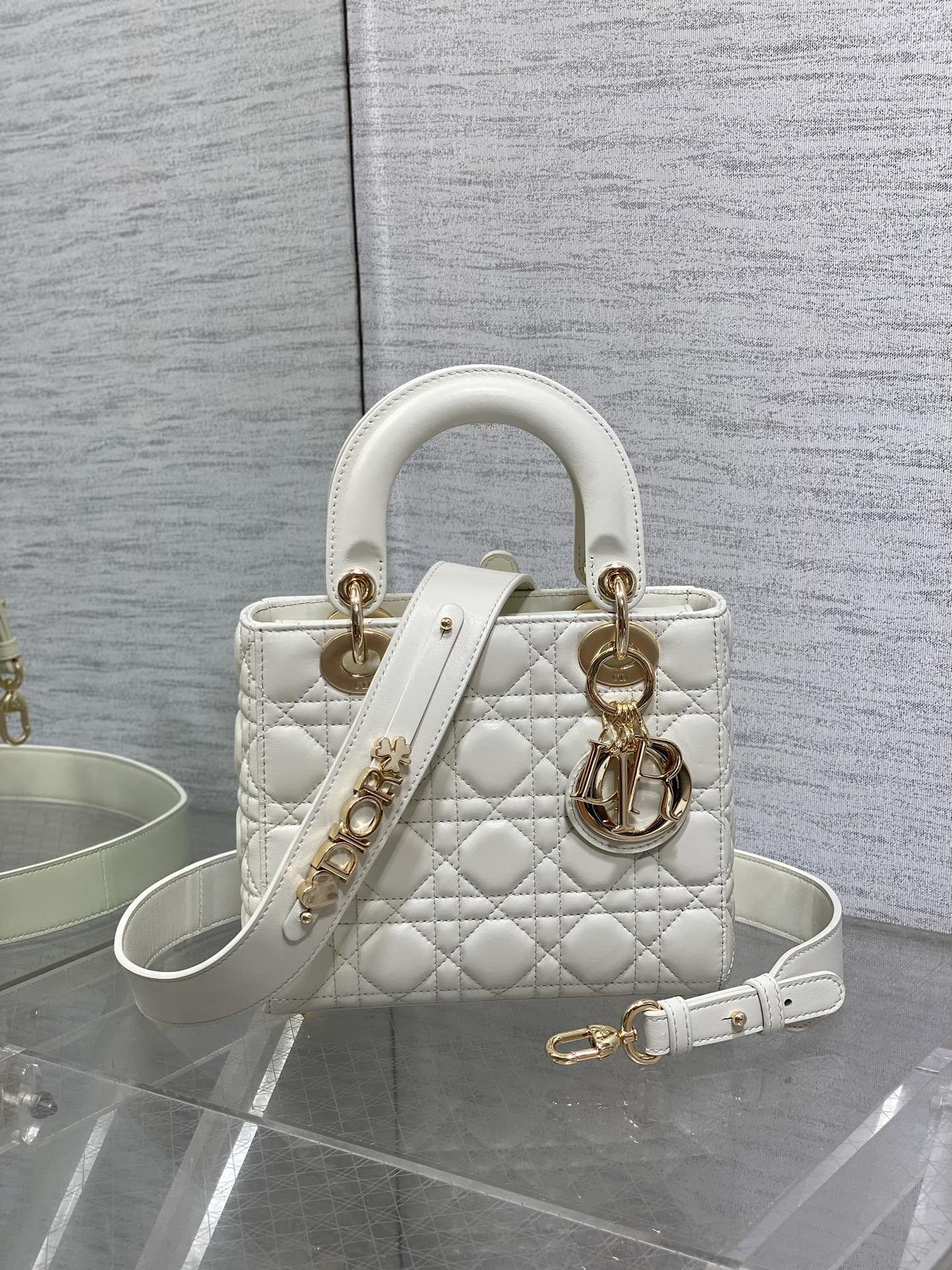 Túi Xách tay Lady Dior Nữ Màu Trắng