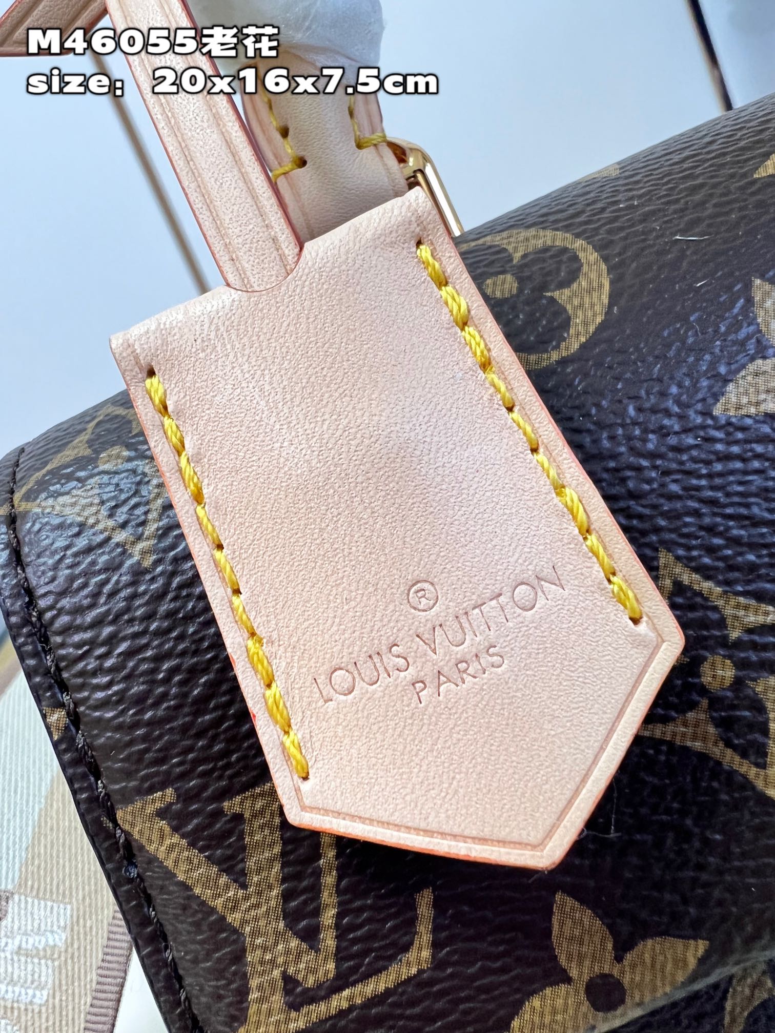 Túi Đeo Chéo Nữ Louis Vuitton LV Cluny Mini M46055