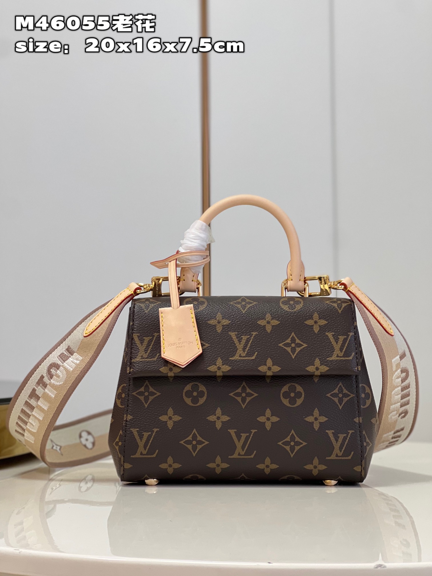 Túi Đeo Chéo Nữ Louis Vuitton LV Cluny Mini M46055