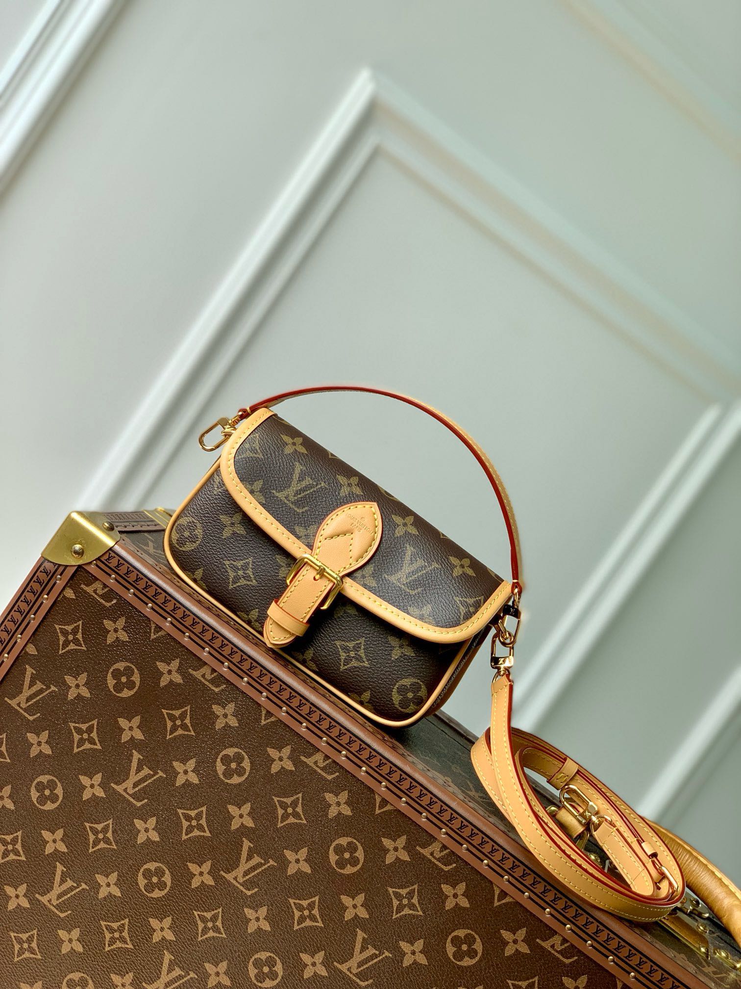 Sac Nano Diane M83298
