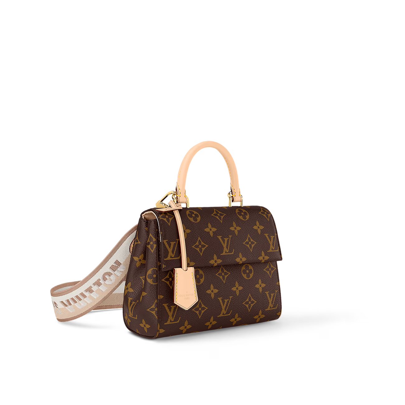 Túi Đeo Chéo Nữ Louis Vuitton LV Cluny Mini M46055