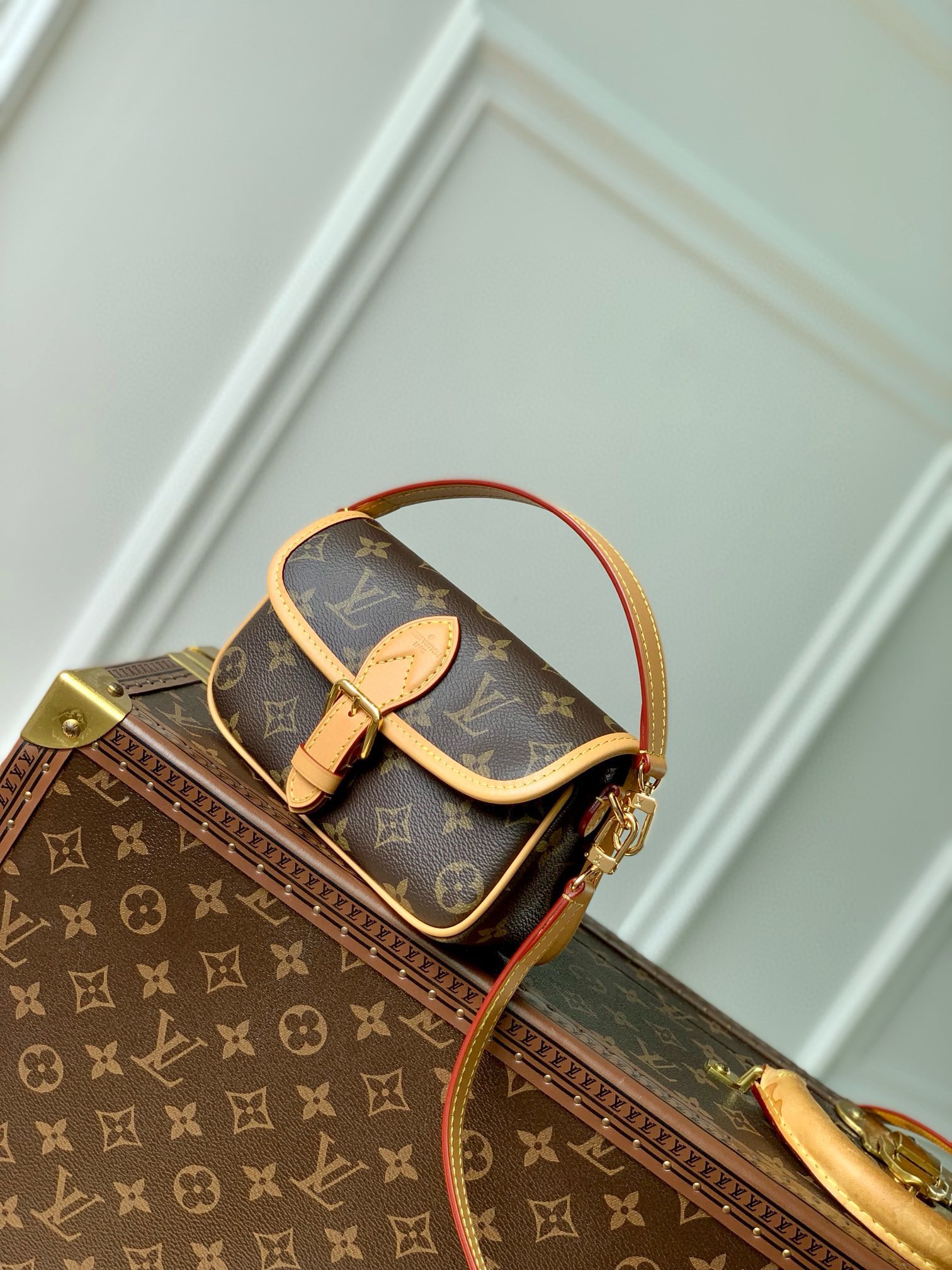 Sac Nano Diane M83298