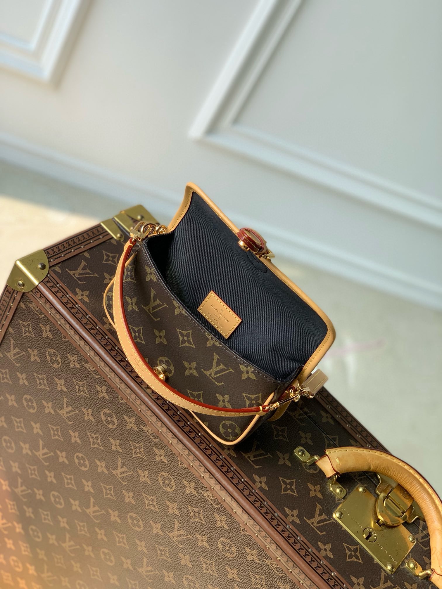 Sac Nano Diane M83298