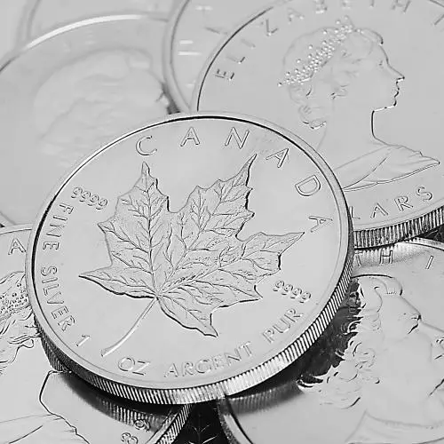 🍁 Final Edition! 💰 65% OFF Canadian Maple Leaf Coin