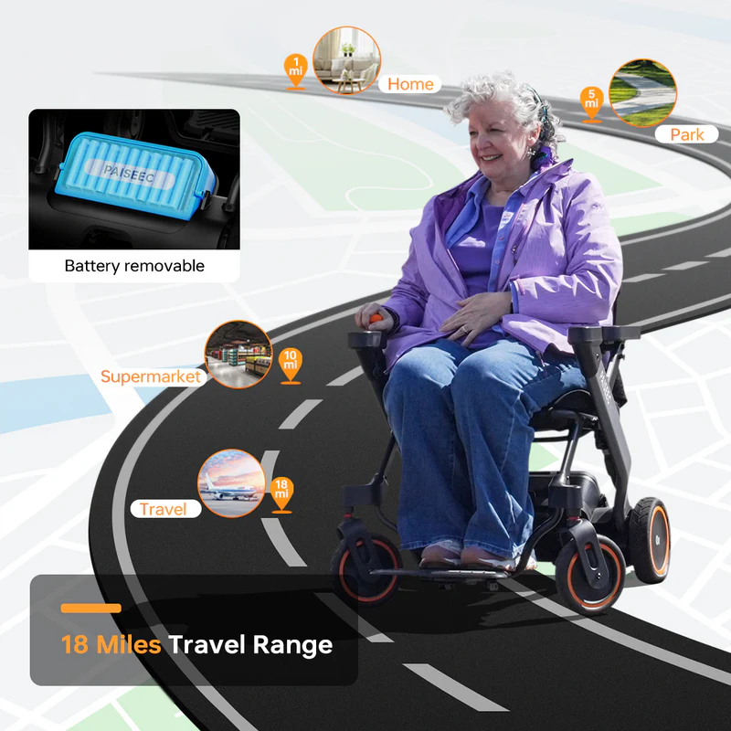 Paiseec 2-in-1 Electric Wheelchair W1