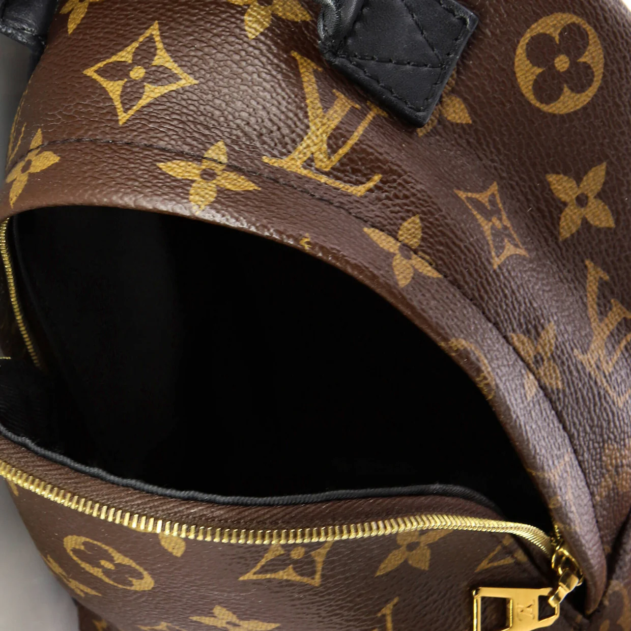 Palm Springs Backpack Monogram Canvas Mini - Deep Luxury