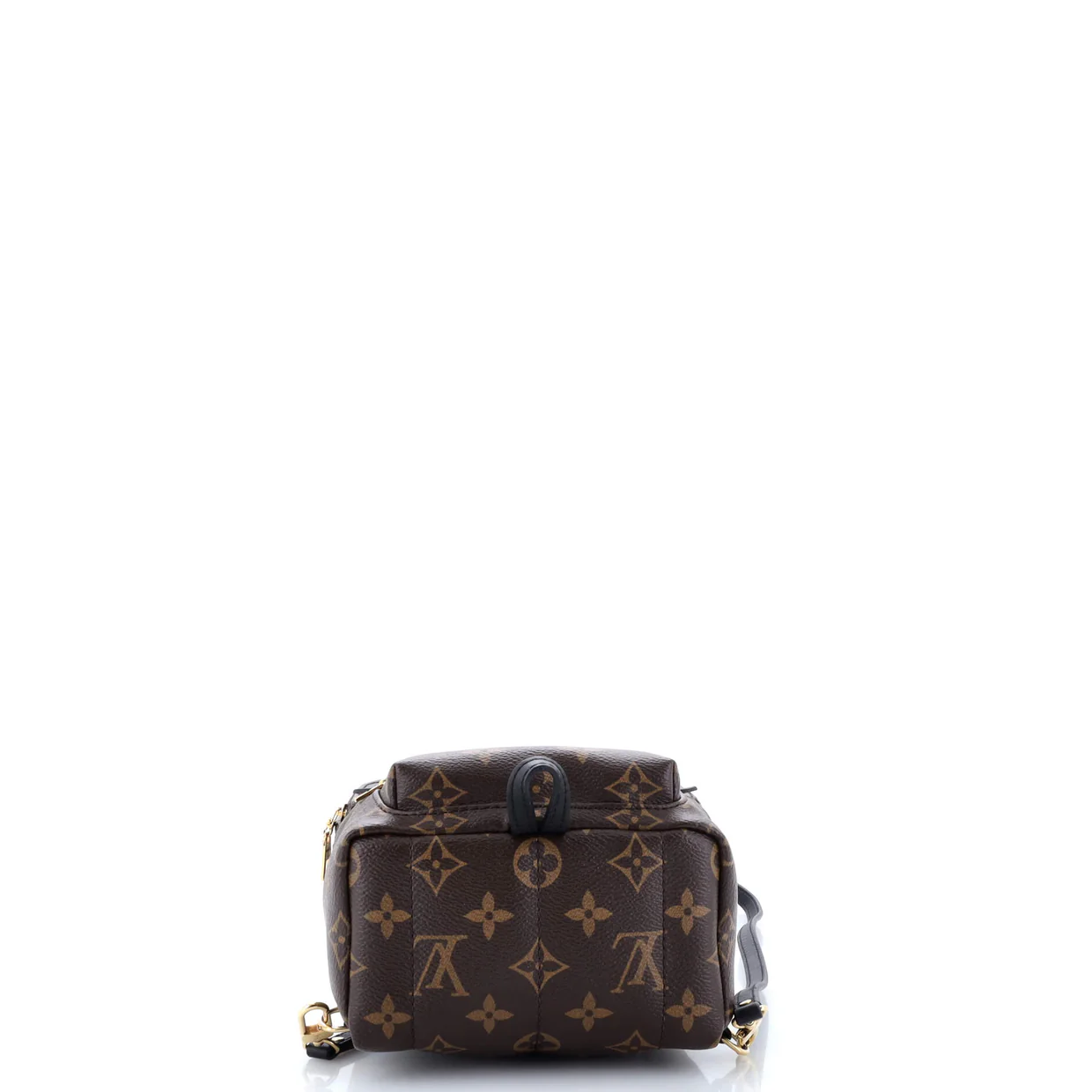 Palm Springs Backpack Monogram Canvas Mini - Deep Luxury