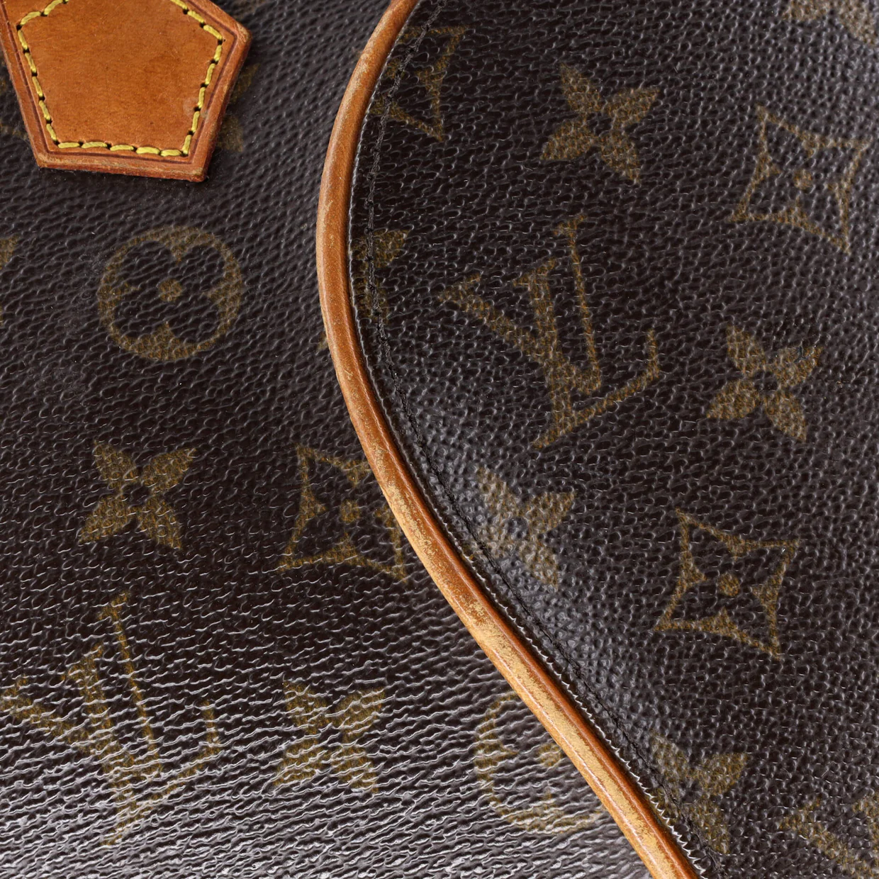 Ellipse Bag Monogram Canvas PM - Deep Luxury