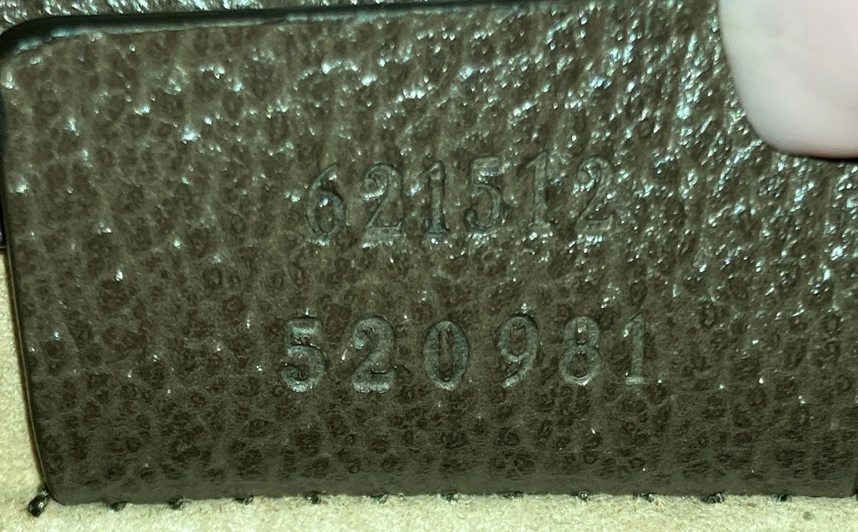 Dionysus Top Handle Chain Bag GG Coated Canvas Small - Deep Luxury