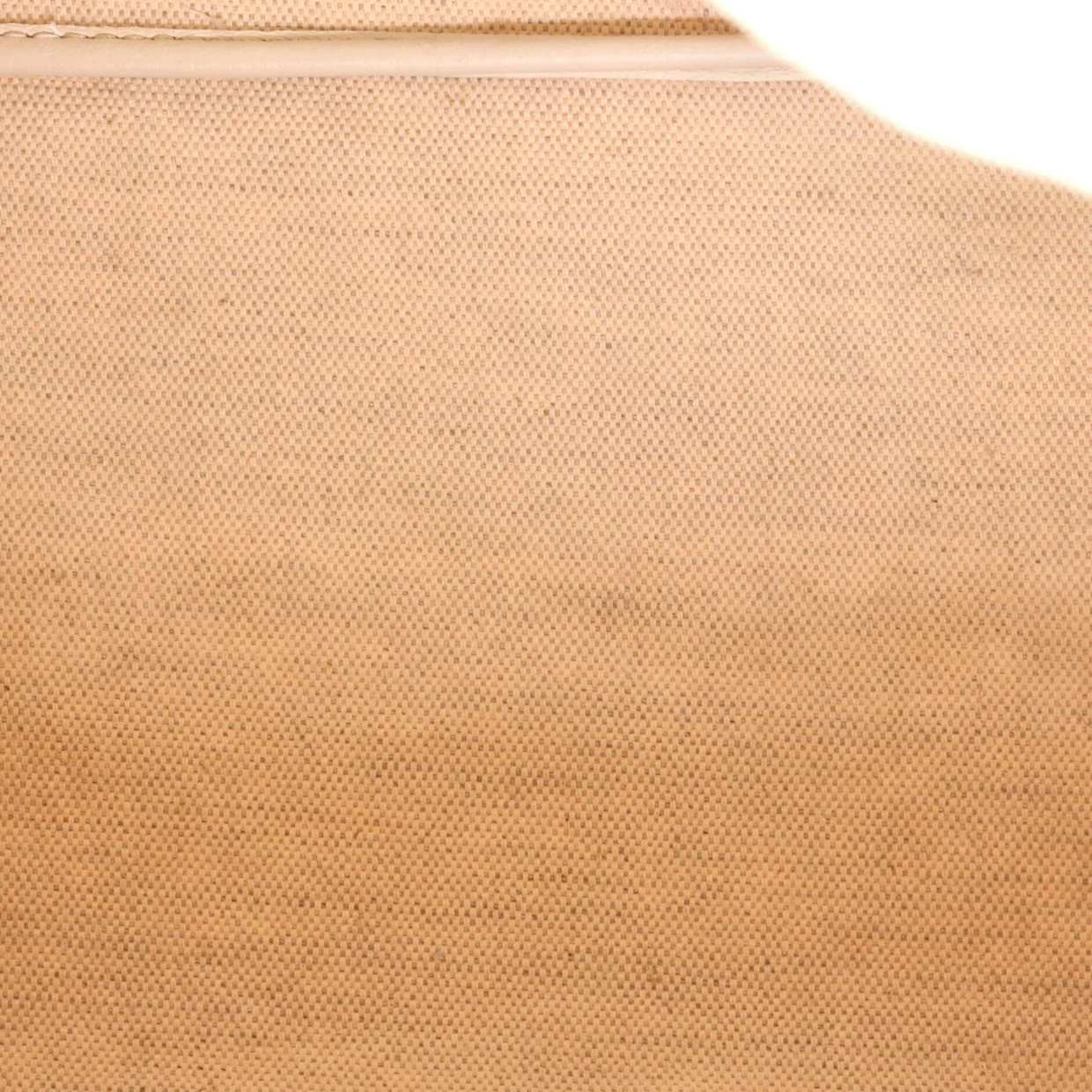 Saint Louis Tote Coated Canvas PM - Deep Luxury